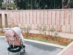 -映月湖公园