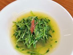 -觀芷隐轩