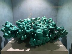 -河南自然博物馆