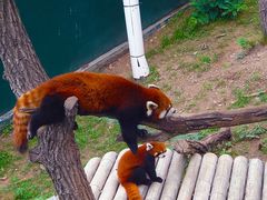 -大连森林动物园