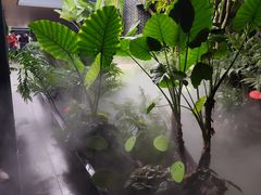 -云溪植物园