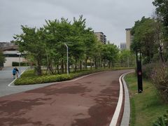 -飞凤山奥体公园
