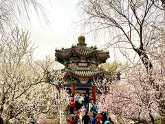 -颐和园