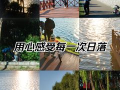 -丁香湖公园