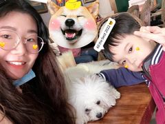 -more than meow吴止猫主题餐厅(承德 中船汇店)