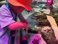 -沈阳海洋探索中心