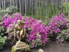 -杭州黄龙洞