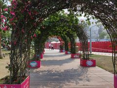 -大梅沙海滨公园