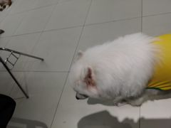 -怪兽屋·羊驼·猫咖·狗咖(俊华广场店)