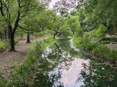 -上海共青森林公园