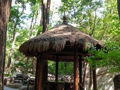 -国家植物园南园