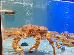 -阿伟海鲜楼·福建菜(延寿店)