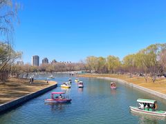 -朝阳公园游乐园