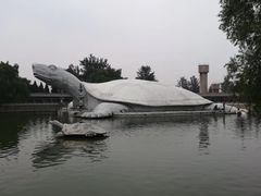-东方巨龟苑景区