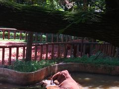 -杭州动物园