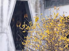 -无锡梅园公园