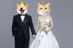-CD视觉婚纱摄影