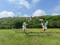 -苏州上方山国家森林公园