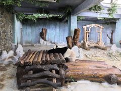 -海南热带野生动植物园
