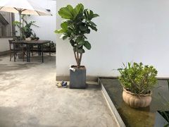 -翠田Green Field Kitchen
