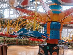 -南宫五洲植物乐园