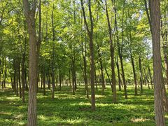 -回龙观体育文化公园