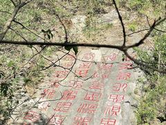 -皇藏峪国家森林公园