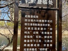 -桃花堤公园