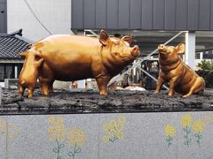 -Dombe豚(黑猪肉街店)