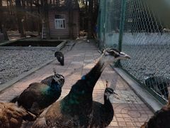 -南京金牛湖风景区