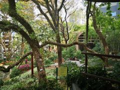 -香港大学