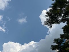 -笨罗卜浏阳菜馆(龙华鹏润达店)