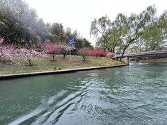 -皇家御河游(紫御湾码头)