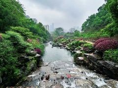 -桃花岭景区