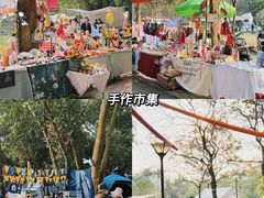 -南宁良凤江国家森林公园