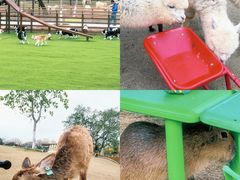 -盈香心动乐园