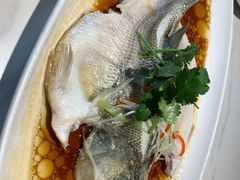 清蒸鲈鱼-粤香村(清真川菜店)