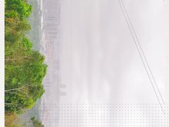 -中山市树木园