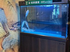 -肆月河豚·淮扬菜·湘菜(华天店)