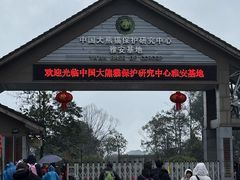 -中国大熊猫保护研究中心雅安碧峰峡基地