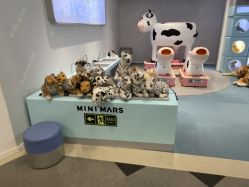 点击看大图 -MINI MARS 脚下的城市乐园·餐饮·派对(静安江宁店)