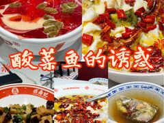-禄鼎记·排队俩小时都要吃的酸菜鱼(石牌桥店)