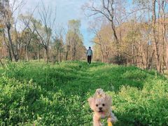 -上海海湾国家森林公园