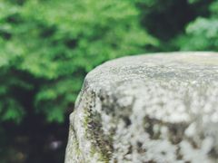 -峨眉山报国寺