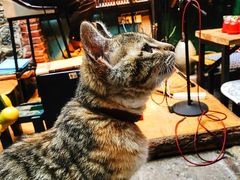 -在路上酒吧(大理古城店)