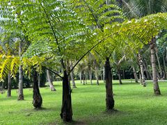 -中国科学院西双版纳热带植物园