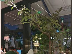 -gaga(深圳南山益田假日广场店)