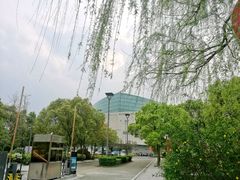 -宁波大剧院