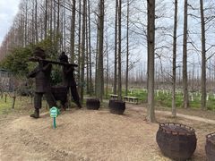 -上海长兴岛郊野公园