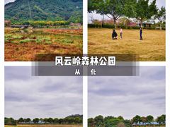 -风云岭森林公园